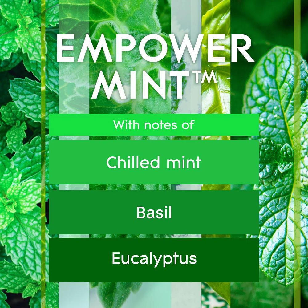 Glade® Scented Candle Air Freshener, Empower Mint™, 3-Wick Candle
