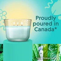 Glade® Scented Candle Air Freshener, Empower Mint™, 3-Wick Candle