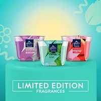 Glade® Scented Candle Air Freshener, Empower Mint™, 3-Wick Candle
