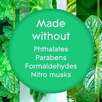 Glade Plugins® Air Freshener Oil Refill, Empower Mint™, 2 Refills