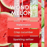 Glade Plugins® Air Freshener Oil Refill, Wonder Melon™, 2 Refills