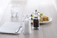 Trudeau Maison Traditions Acrylic Salt and Pepper Mill Set