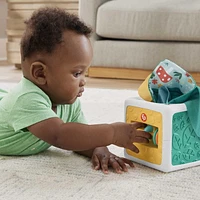 Fisher-Price Tissue Fun Activity Cube Baby Sensory Crinkle Toys for Newborns, Unisex, Ages 3M+