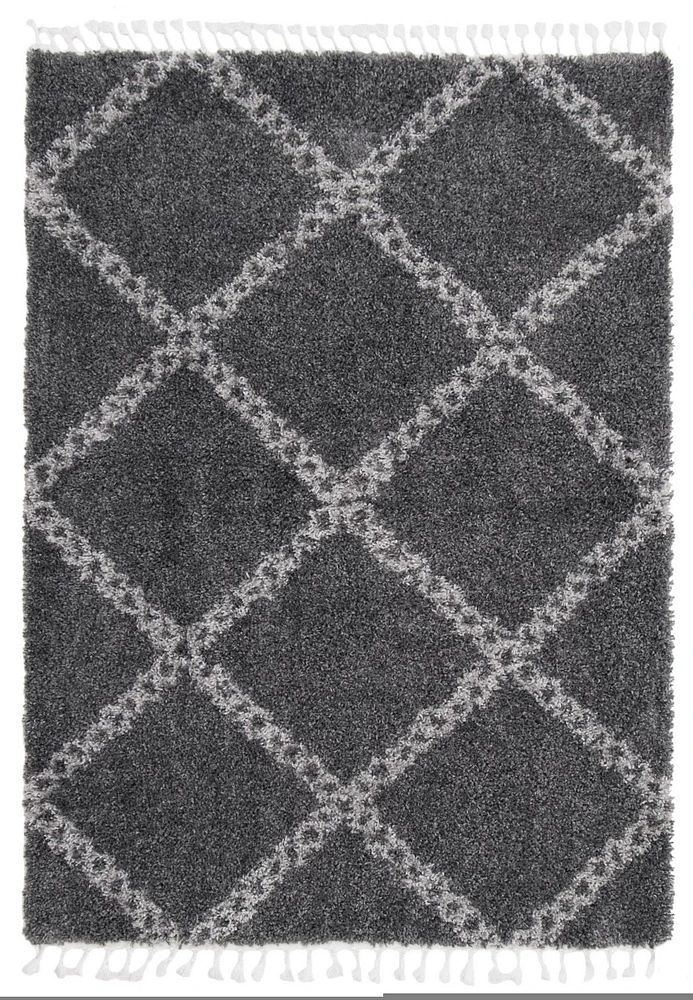 ECARPET Super Soft for Living Room & Bedroom Grammercy Stark Dark Grey Shag