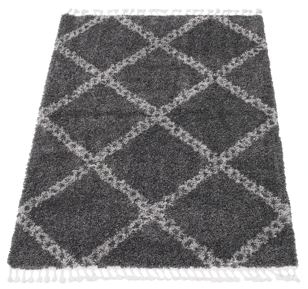 ECARPET Super Soft for Living Room & Bedroom Grammercy Stark Dark Grey Shag