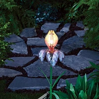 Hometrends Solar Flower Garden Stake Outdoor Lighting LED