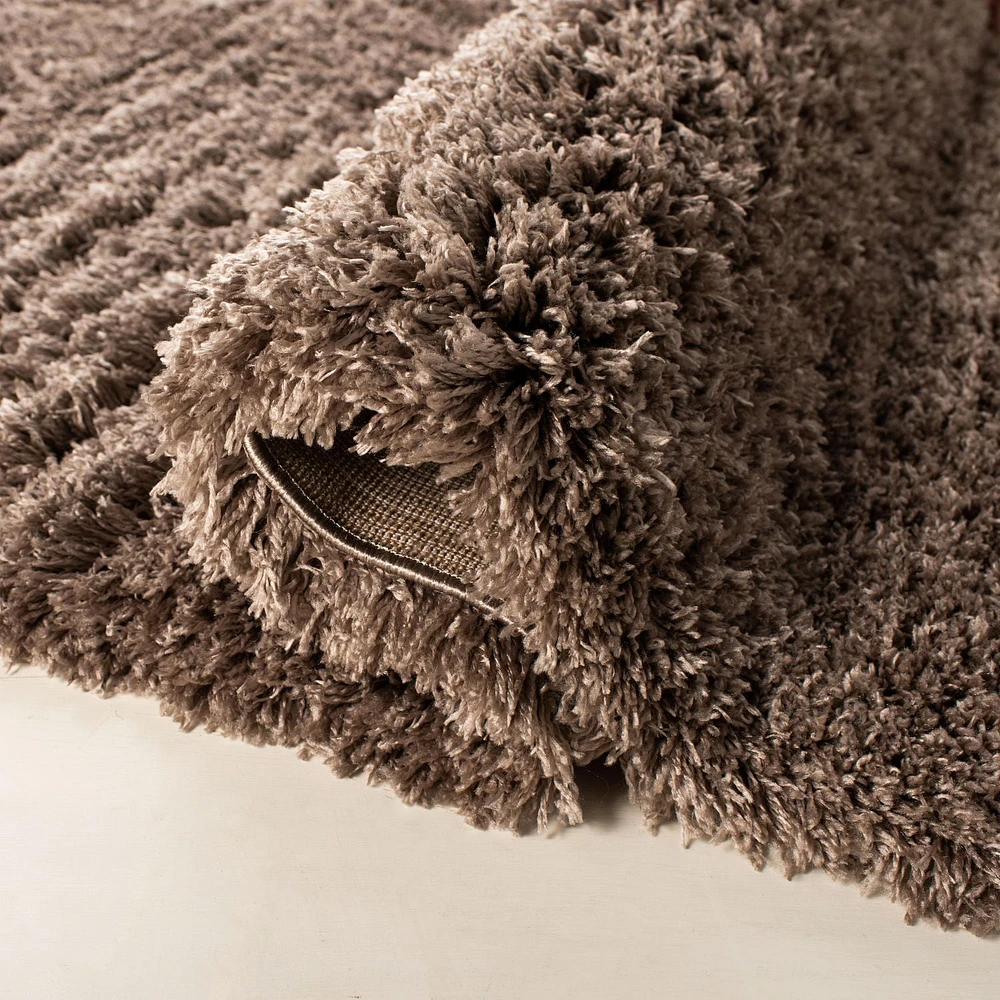 SAFAVIEH Polar Abbot Solid Extreme Plush Shag Area Rug