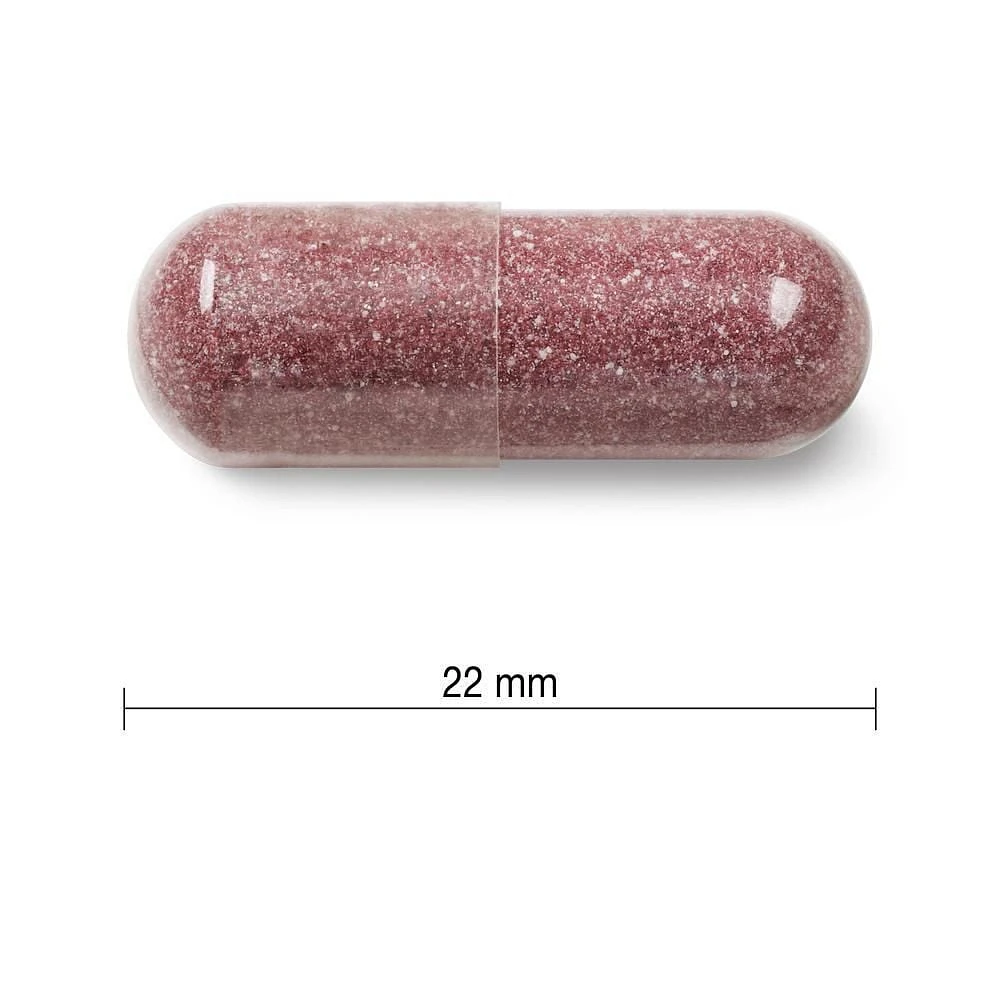 Jamieson Complexe de Canneberge à Concentration Maximale 500 mg 60 Capsules 60 gélules
