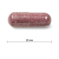 Jamieson Complexe de Canneberge à Concentration Maximale 500 mg 60 Capsules 60 gélules