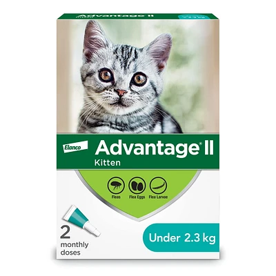 Advantage II traitement contre les puces pour chatons