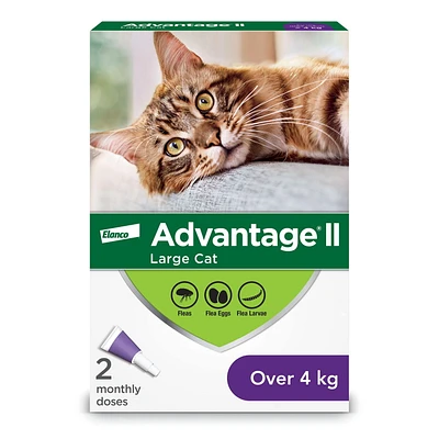 Advantage II Flea Treatment for Cats