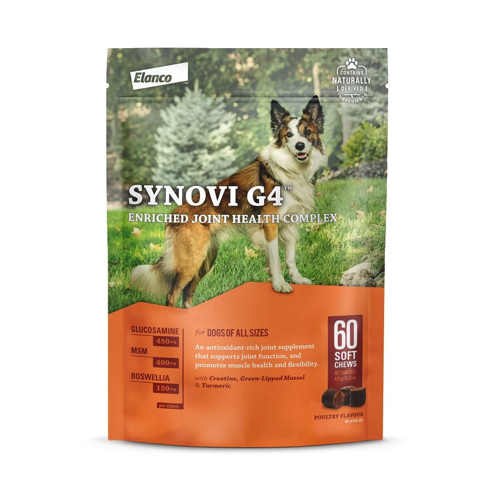 Synovi G4 Dog Joint Supplement Chews for Dogs of All Ages