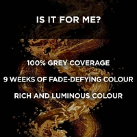 L'Oréal Paris Superior Preference, Permanent Hair Dye