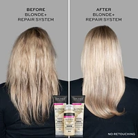 John Frieda Blonde+ Repair System, Bond Building Conditioner, for Damaged Blonde Hair | STEP 3, 250mL