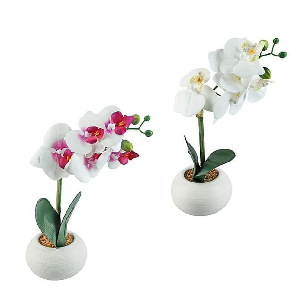 REAL TOUCH ORCHID X 5 FLOWERS IN WHITE CERAMIC POT, 2 ASSORTED, 37CM