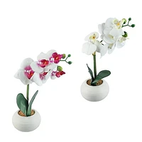 REAL TOUCH ORCHID X 5 FLOWERS IN WHITE CERAMIC POT, 2 ASSORTED, 37CM