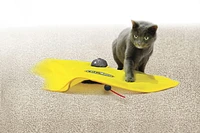 Allstar Products Group Cat’s Meow™ CAT Toy, Cat Toy