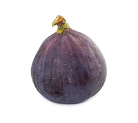 Figs