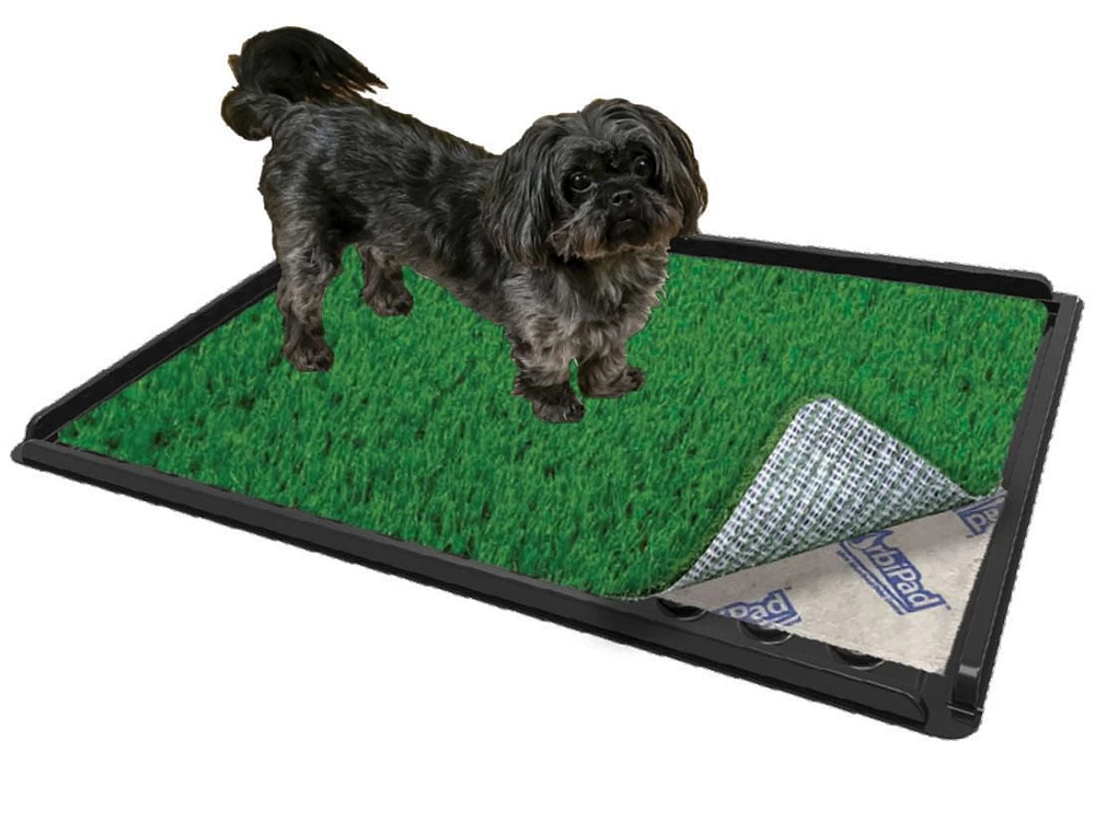ZorbiPad Connectable Indoor Grass & Pad Dog Potty System, 16" x 24"