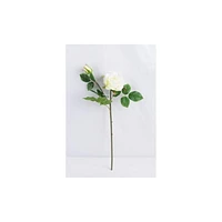 Lerman Decor's White Rose, Single stem white rose