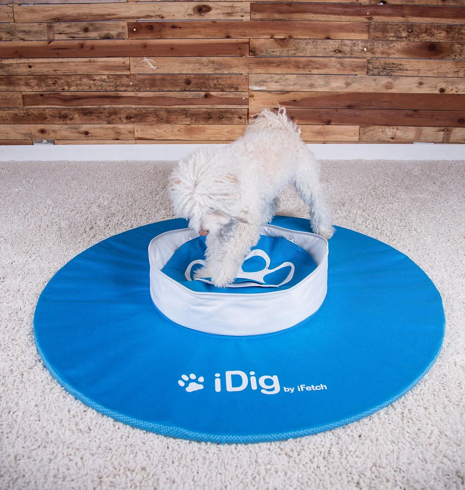 iDig Go Digging Toy by iFetch