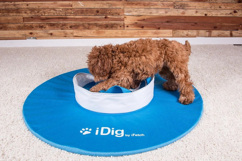 iDig Go Digging Toy by iFetch