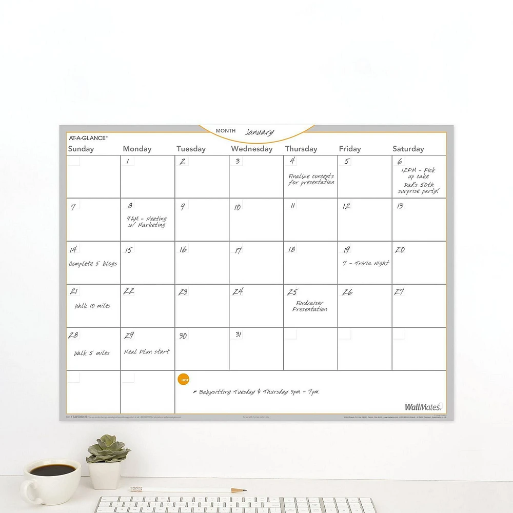 Wallmates Self-Adhesive Dry-Erase Undated Monthly Planner, 24 x 18