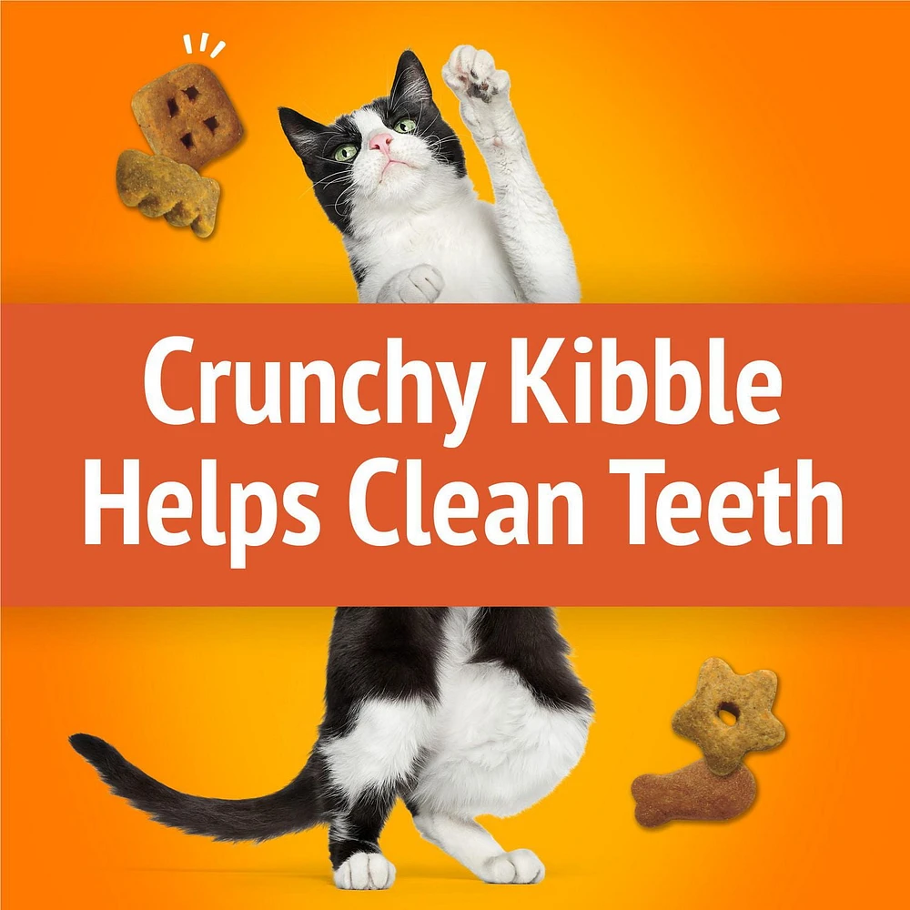 Friskies Party Mix Original Crunch, Cat Treats 170g, 170 g