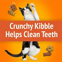 Friskies Party Mix Original Crunch, Cat Treats 170g, 170 g
