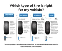 TRIANGLE SNOWLINK PL02 275/40R19 105V pneu d'hiver