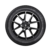 TRIANGLE SNOWLINK PL01 225/55R16 99R Tire