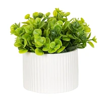 Fluty Faux Eucalyptus in White Pot