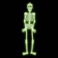 Halloween 3-ft Glow in the Dark Plastic Skeleton, Indoor & Outdoor Decor, Way to Celebrate