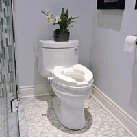 Raised Toilet Seat