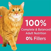 Iams Proactive Health Adult Indoor Weight & Hairball Care Dry Cat Food with Salmon, 1.59-7.26kg