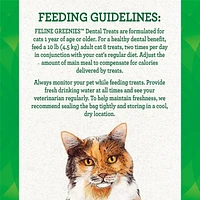 Feline Greenies Catnip Natural Dental Cat Treats, 130g