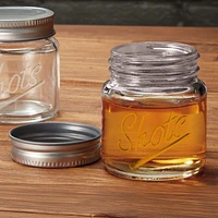 Perfect Solutions Mason Jar Shot Glasses (Set Of 4)