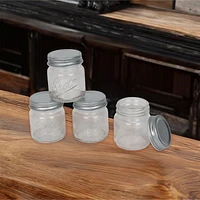 Perfect Solutions Mason Jar Shot Glasses (Set Of 4)