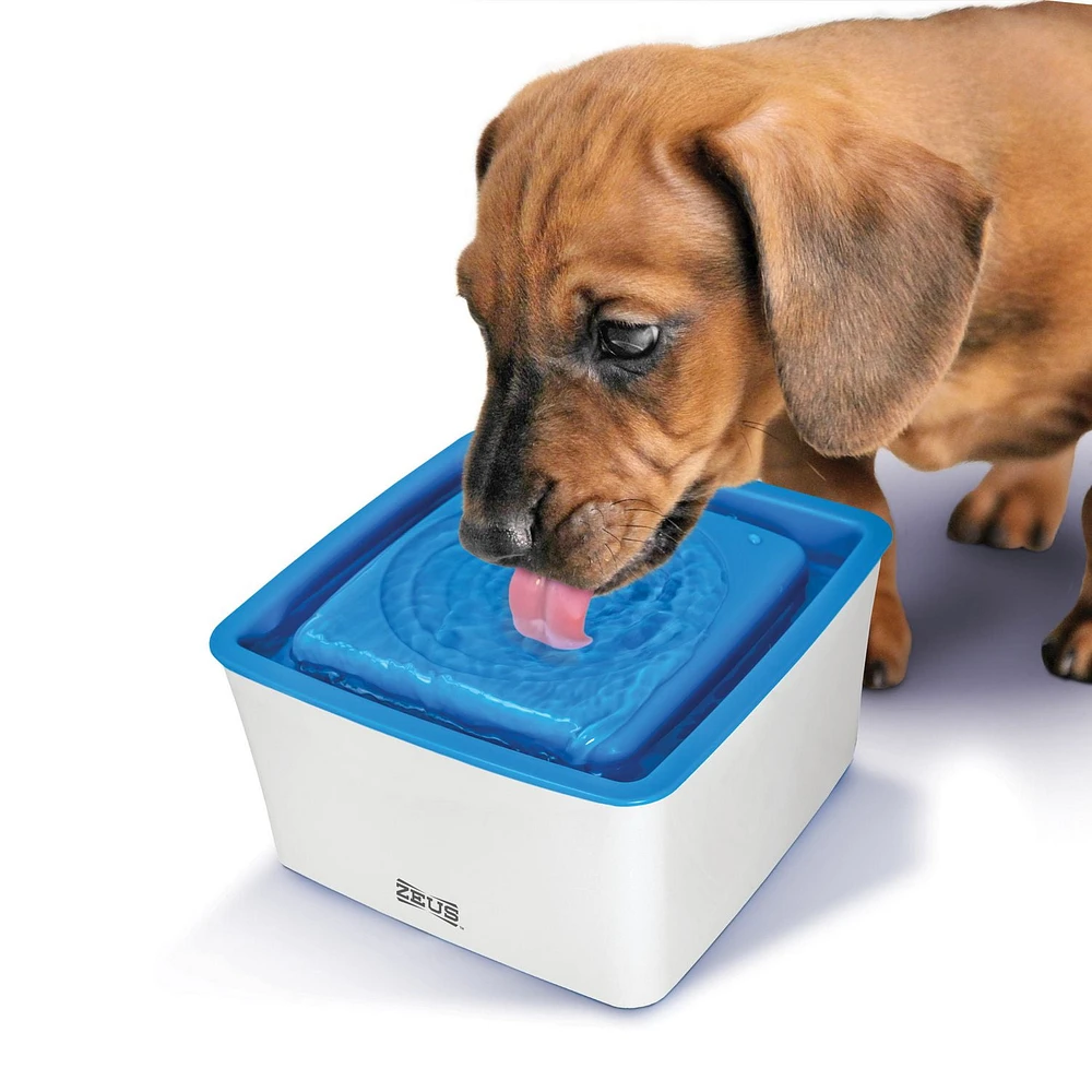 Zeus Mini Drinking Fountain for Dogs