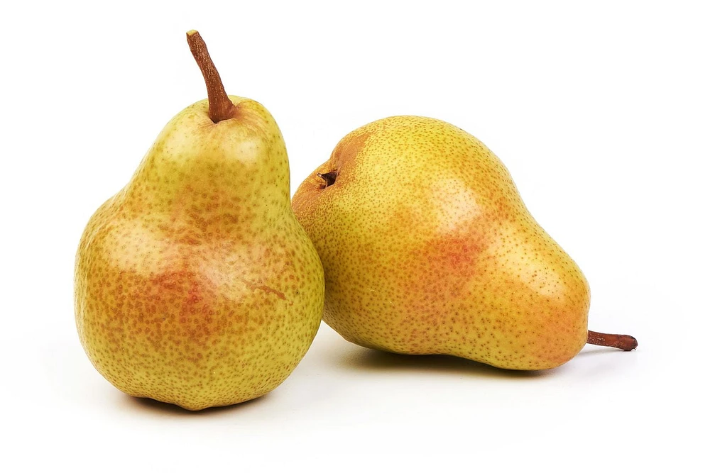 Cold Snap Pear, 2 lb