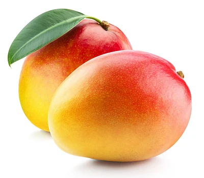 Mangue rouge