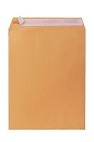 Pen + Gear 10"x13" Brown Envelopes 20 Count Per Pack, Pen + Gear 10"x13" Brown Envelopes