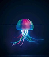 Summer Waves Aqua Glow Light up LED Pool Jellyfish