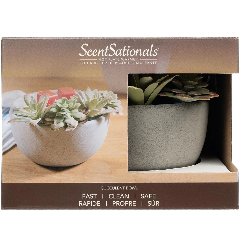 ScentSationals, Hotplate Warmer, Succulent, Hot Plate