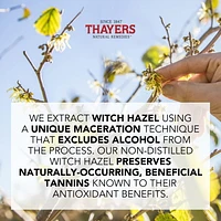 THAYERS Unscented Facial Toner Alcohol-Free Witch Hazel Aloe Vera Formula Travel Size 89mL, Alcohol-Free Facial Toner