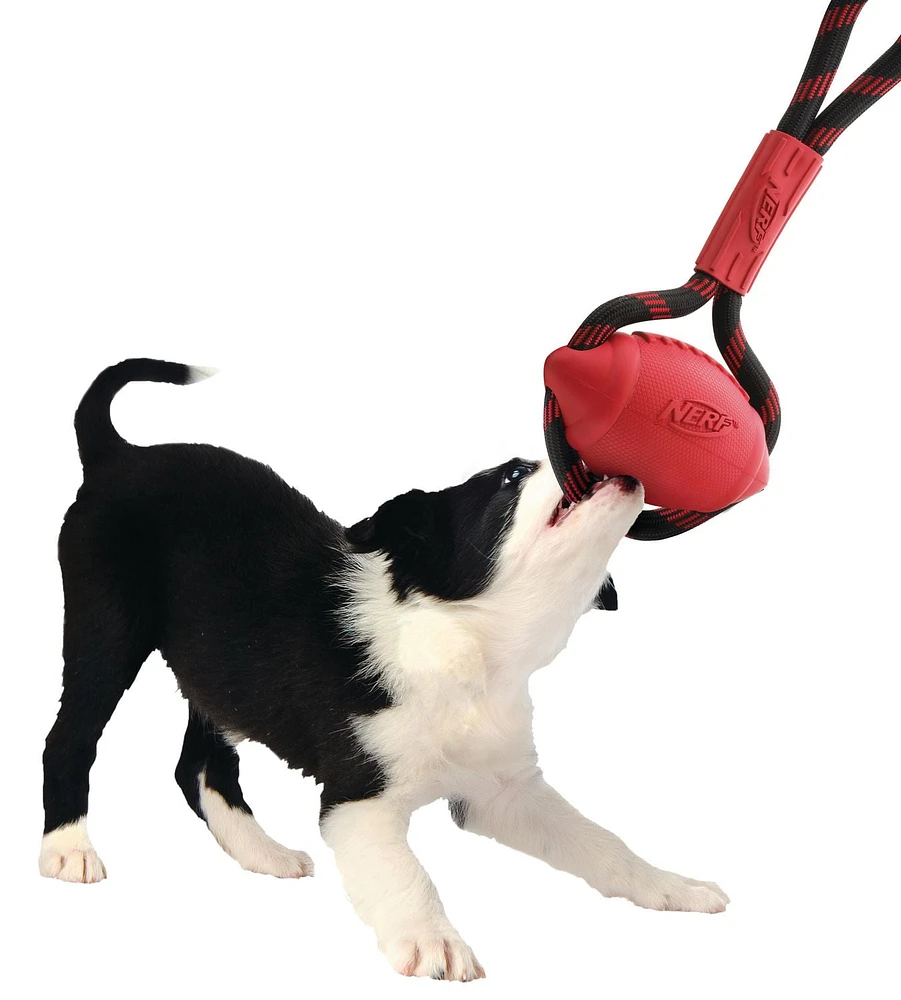 Jouet à tirer infini Nerf Dog pour chiens en rouge
