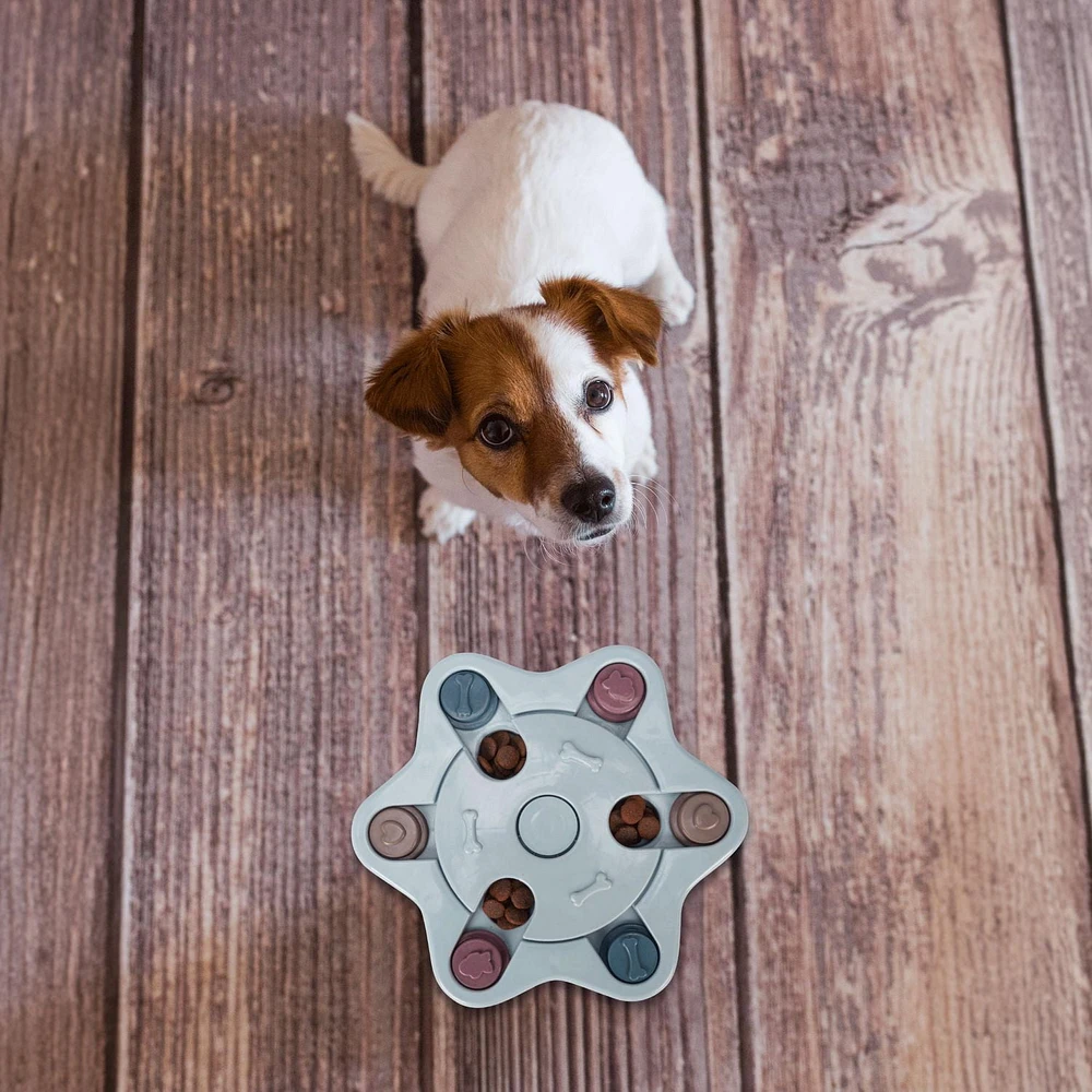 Perfect Solutions Dog Treat Puzzle