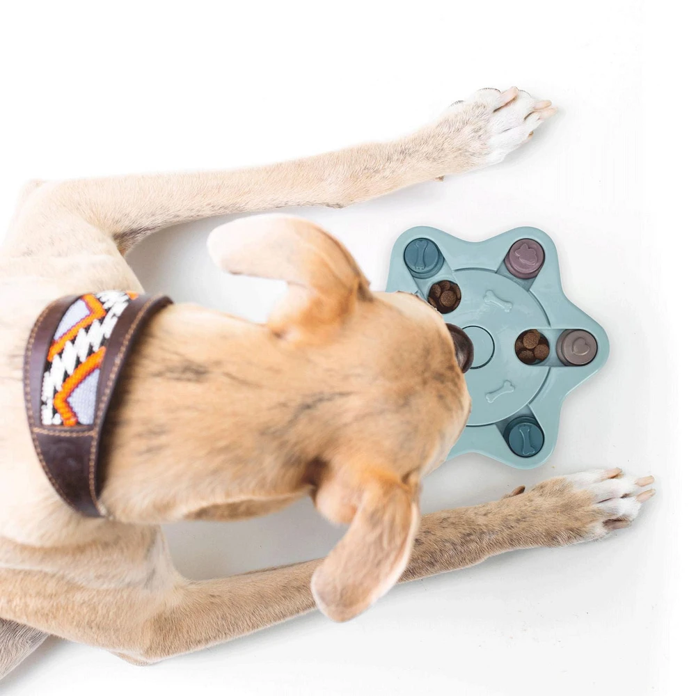 Perfect Solutions Dog Treat Puzzle