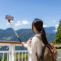 Perfect Solutions Selfie Stick