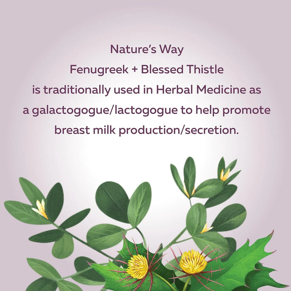 Nature's Way Fenugreek + Blessed Thistle Capsules